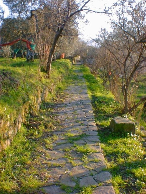 Pensjonat Agriturismo Il Vecchio Casale Vatolla Zewnętrze zdjęcie